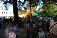 Clicca sulla foto per vedere ingrandimento